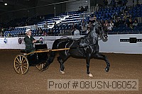 08usn-06052 proof