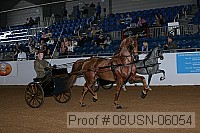 08usn-06054 proof