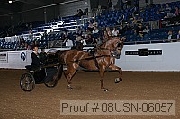08usn-06057 proof