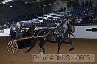 08usn-06061 proof