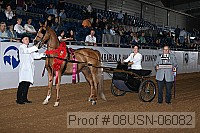 08usn-06082 proof