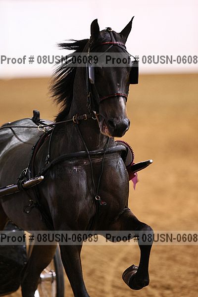 Proof 08usn-06089