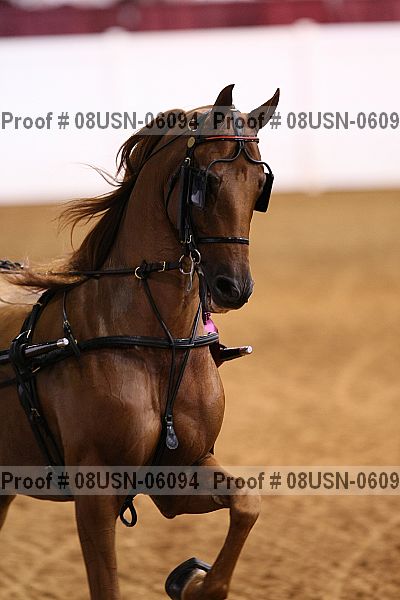 Proof 08usn-06094