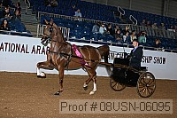 08usn-06095 proof