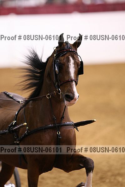 Proof 08usn-06101