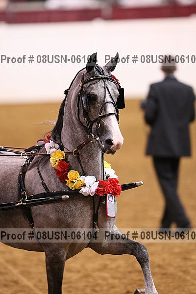 Proof 08usn-06104