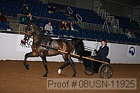 08usn-11925 proof