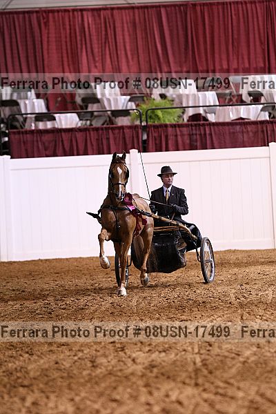 Proof 08usn-17499