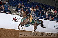 08usn-02317 proof