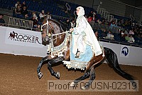 08usn-02319 proof