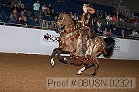 08usn-02321 proof