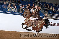 08usn-02333 proof