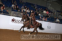 08usn-02341 proof