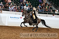 08usn-06446 proof