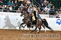 08usn-06454 proof