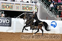 08usn-06458 proof