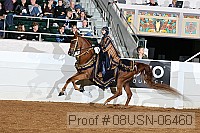 08usn-06460 proof