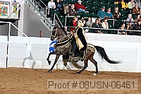 08usn-06461 proof