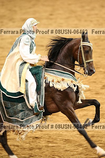 Proof 08usn-06462
