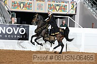 08usn-06465 proof