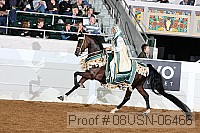 08usn-06466 proof