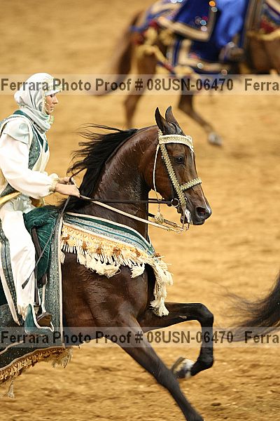 Proof 08usn-06470