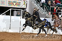 08usn-06472 proof