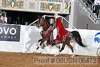 08usn-06473 proof