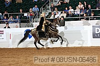 08usn-06486 proof