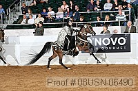 08usn-06490 proof