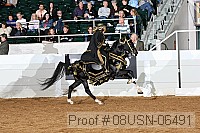 08usn-06491 proof