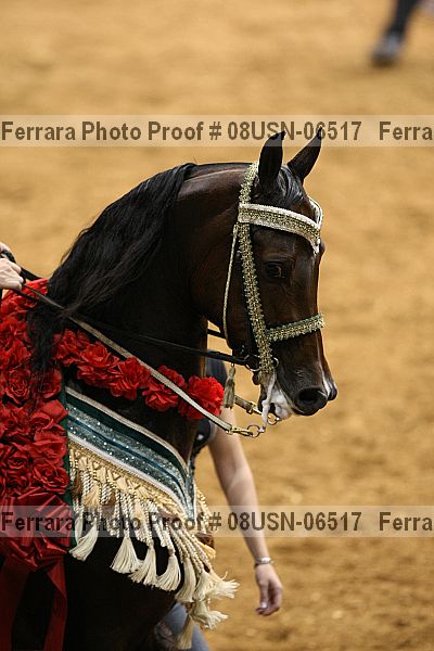 Proof 08usn-06517