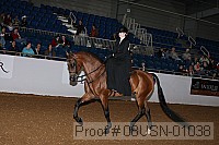 08usn-01038 proof