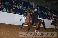 08usn-01051 proof