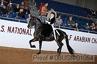 08usn-01054 proof