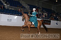 08usn-01062 proof