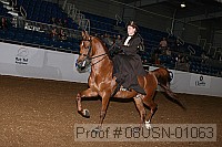 08usn-01063 proof