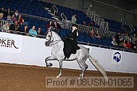 08usn-01065 proof