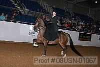 08usn-01067 proof
