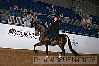 08usn-01075 proof