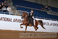 08usn-01076 proof