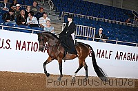 08usn-01078 proof
