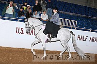 08usn-01081 proof