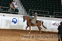 08usn-04797 proof