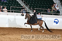 08usn-04804 proof