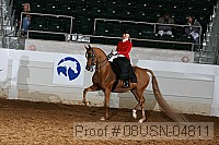 08usn-04811 proof