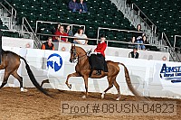 08usn-04823 proof