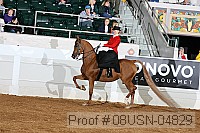 08usn-04829 proof