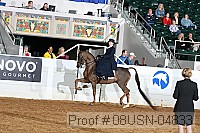 08usn-04833 proof