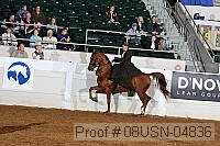 08usn-04836 proof